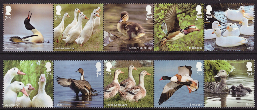 (image for) SG(TBC) 2025 Ducks unmounted mint set of 10